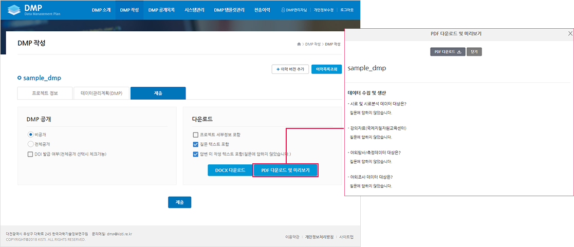 DMP 세부항목 작성 · 제출 화면